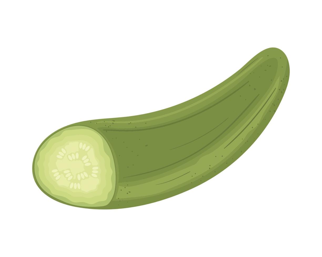 pepino vegetal ícone vetor