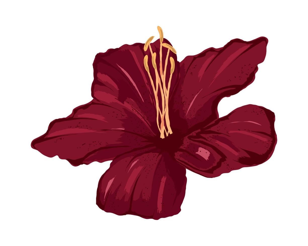 ícone de flor de hibisco vetor