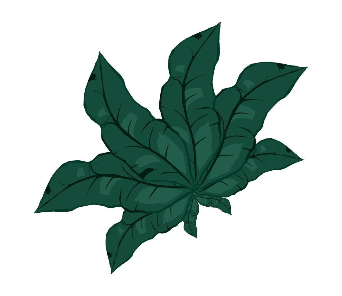 planta de folha natural vetor