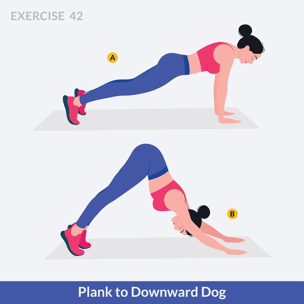 prancha para exercício de cão descendente, fitness de treino de mulher, aeróbica e exercícios. vetor