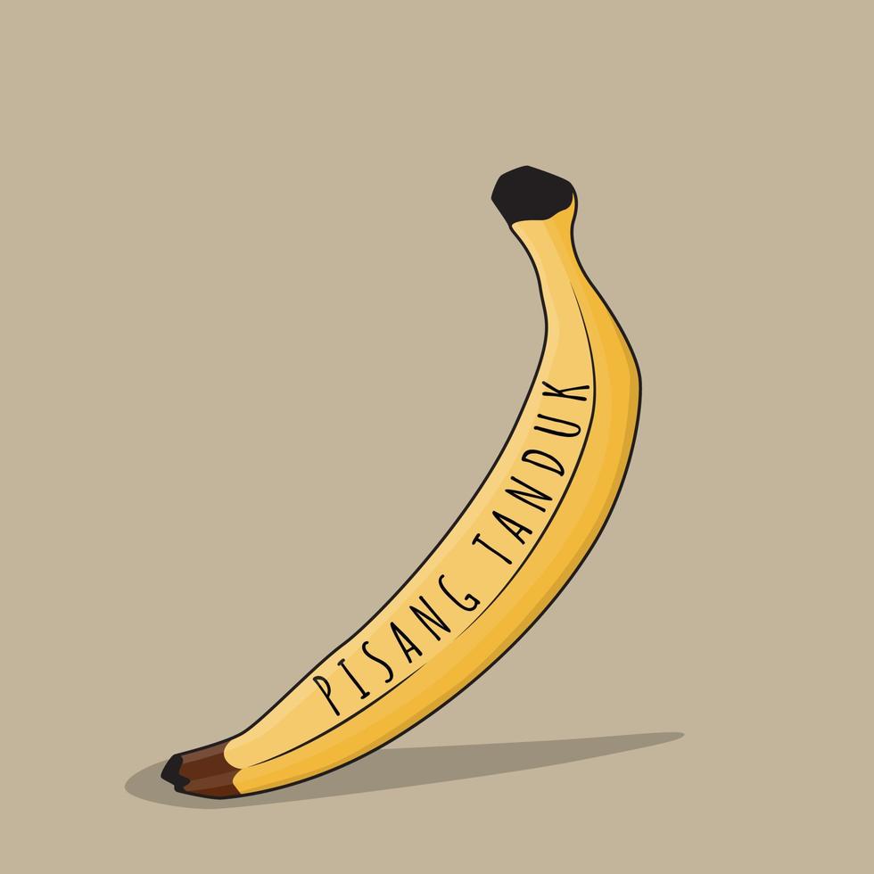 banana em desenho animado com texto indonésio que significa banana de chifre vetor