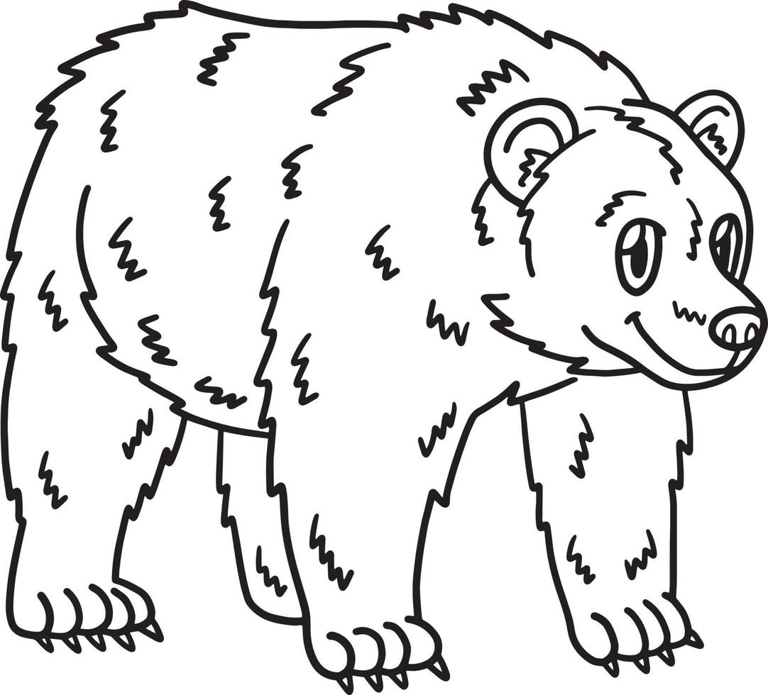 urso animal isolado para colorir para crianças vetor