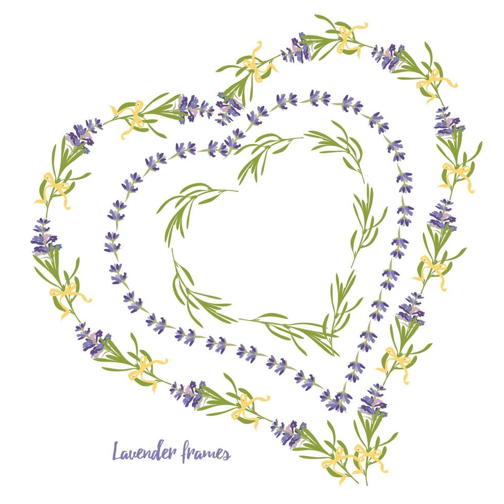 definir o modelo de lindos quadros florais de lavanda violeta em estilo aquarela plano isolado no fundo branco para design decorativo, cartão de casamento, convite, base de viagem. ilustração botânica vetor