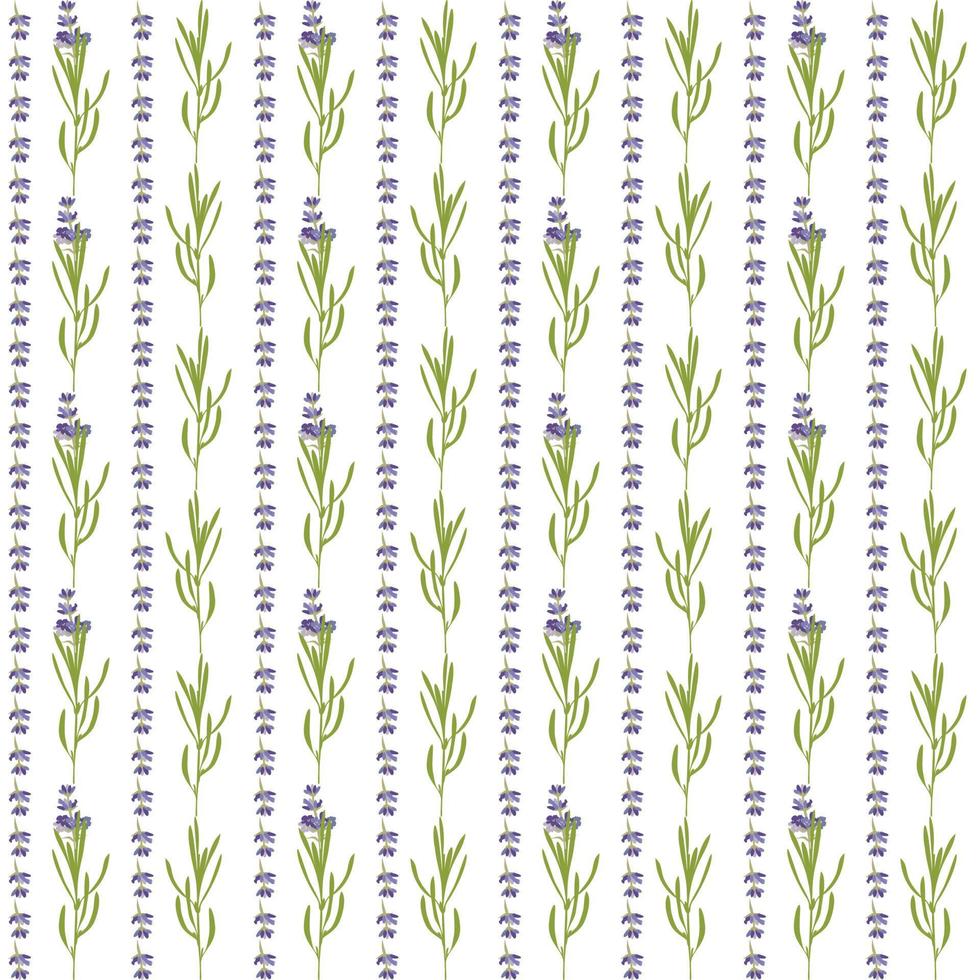 padrão sem emenda com modelo de flor linda de lavanda violeta em estilo aquarela plano isolado no fundo branco para cartão de casamento, convite, base de viagem. ilustração botânica. vetor