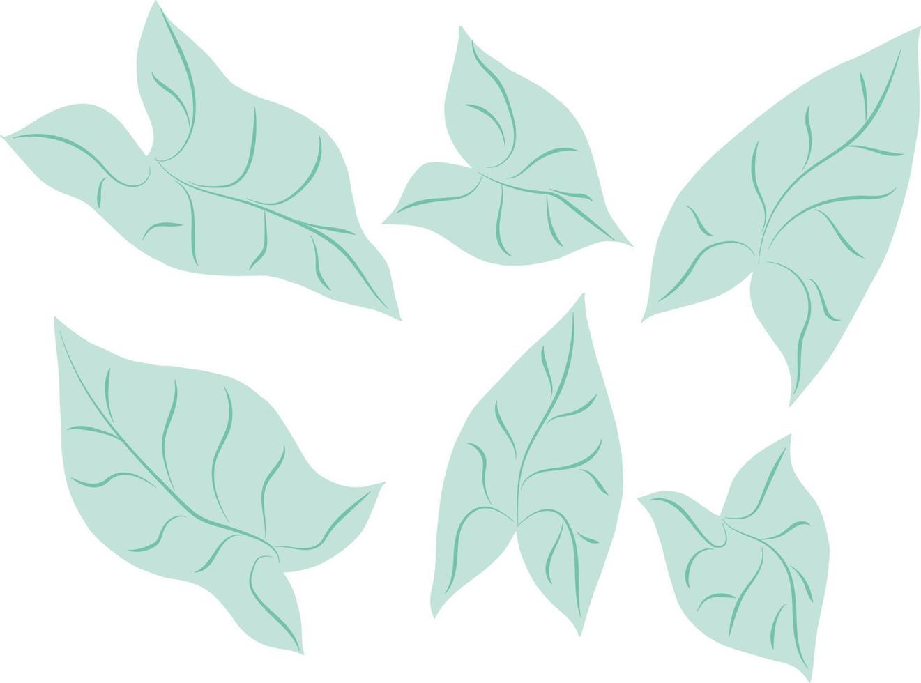 conjunto de folhas de plantas tropicais vetor