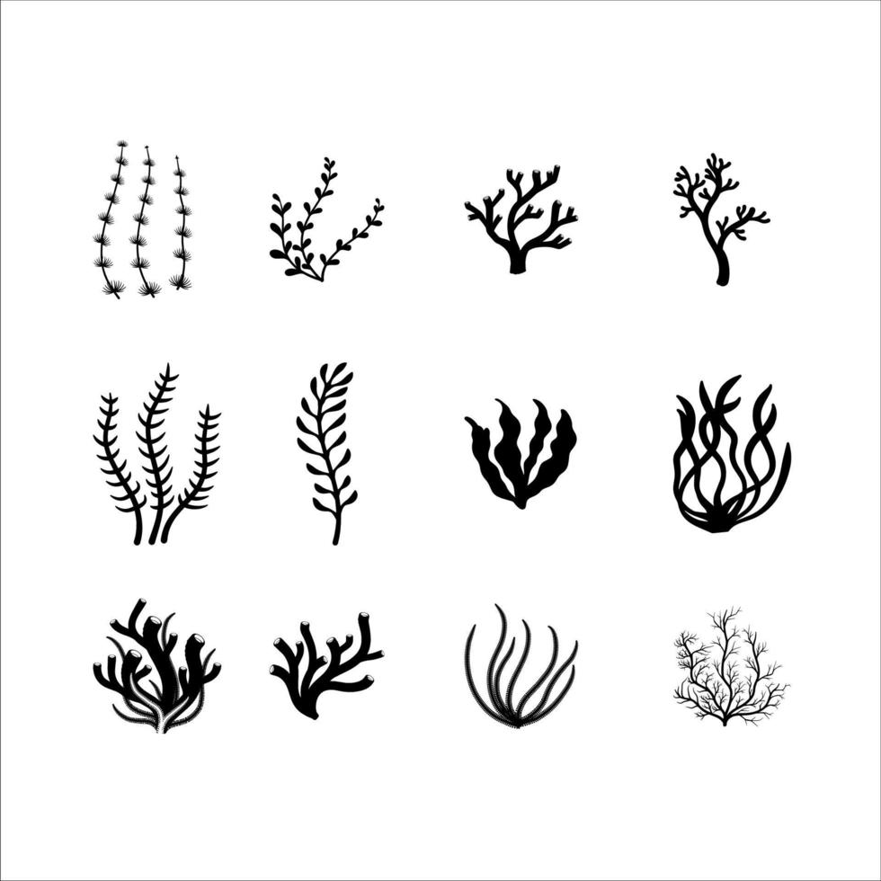 conjunto de ilustrações de silhueta de plantas marinhas em fundo branco vetor