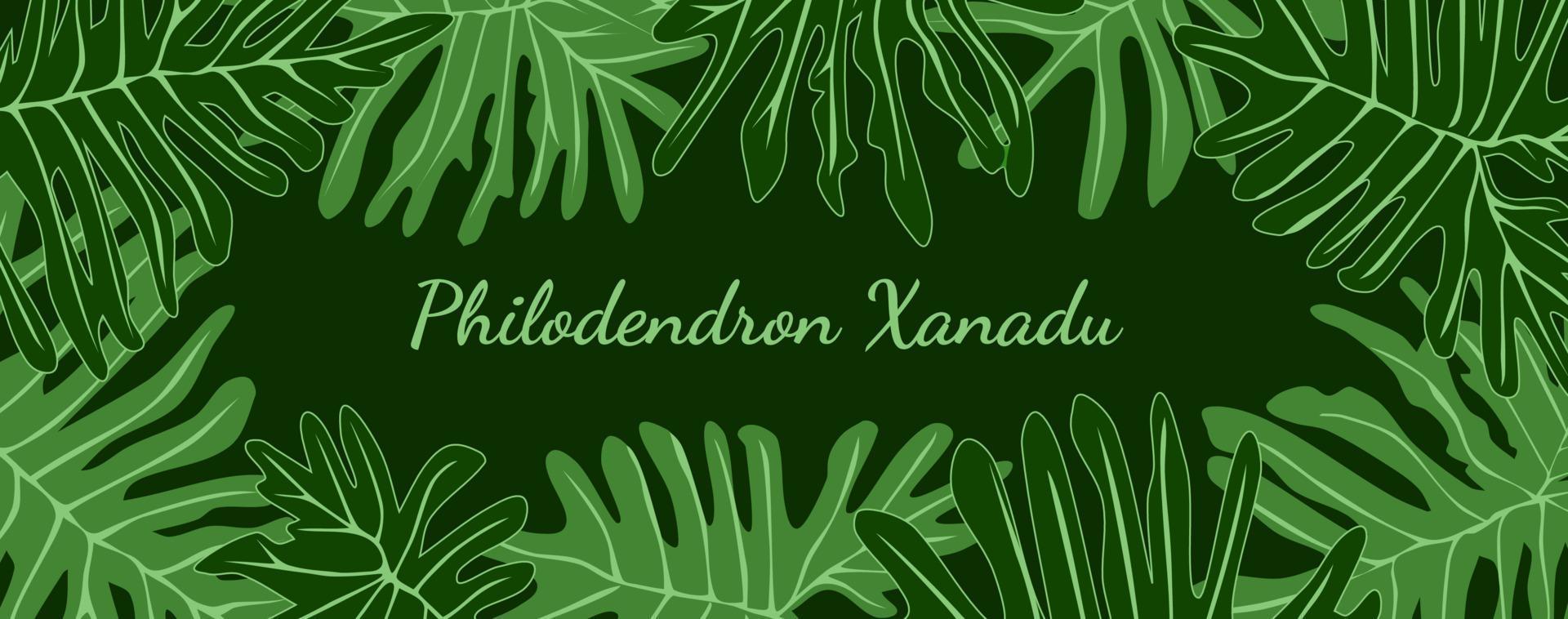 philodendron xanadu tropical deixa o quadro com lugar seu texto. ilustração em vetor fundo bandeira folhagem verde.