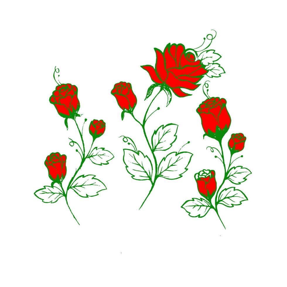 desenho de botão de flor rosa e esboçar com arte de linha em um fundo branco. vetor