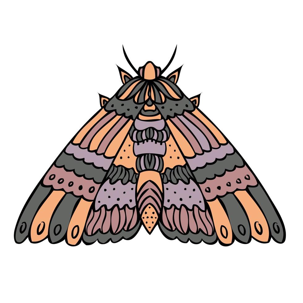 borboleta de noite colorida, mariposa. ilustração desenhada à mão. vetor