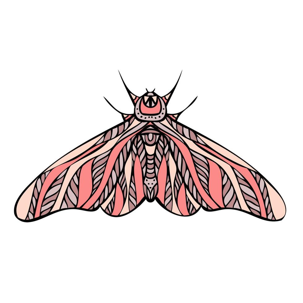 borboleta de noite colorida, mariposa. ilustração desenhada à mão. vetor