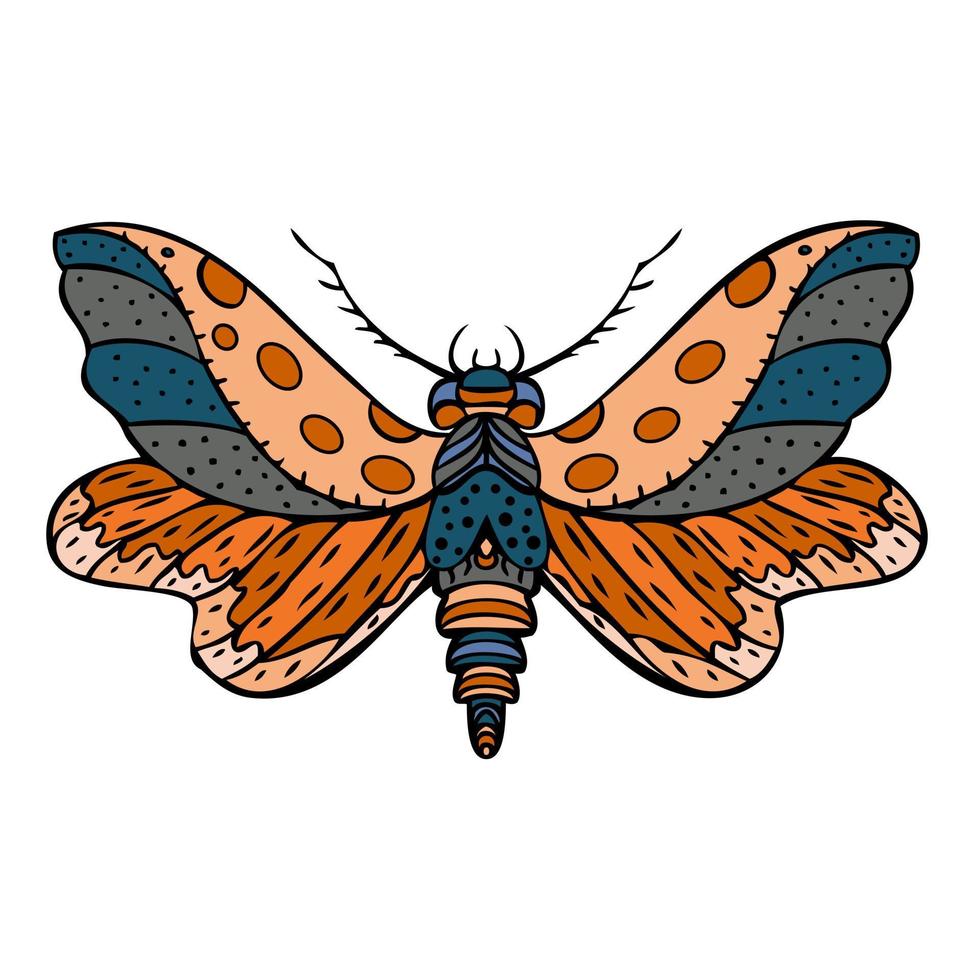 borboleta de noite colorida, mariposa. ilustração desenhada à mão. vetor