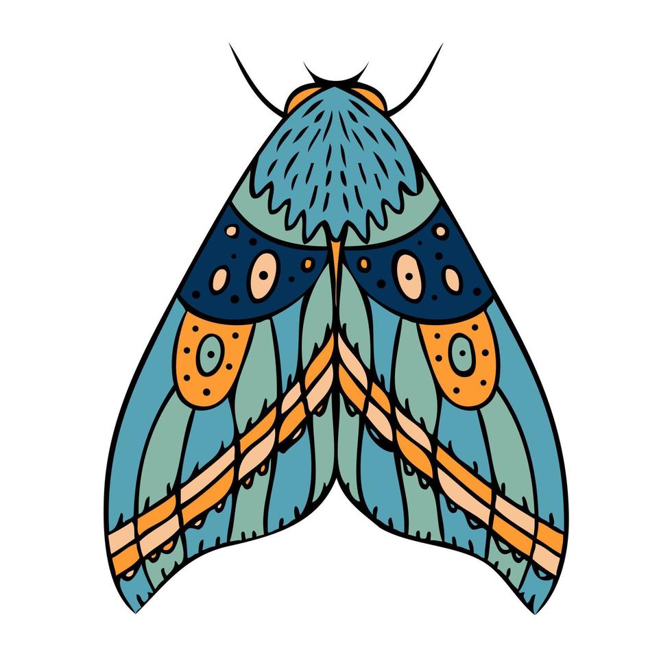 borboleta de noite colorida, mariposa. ilustração desenhada à mão. vetor