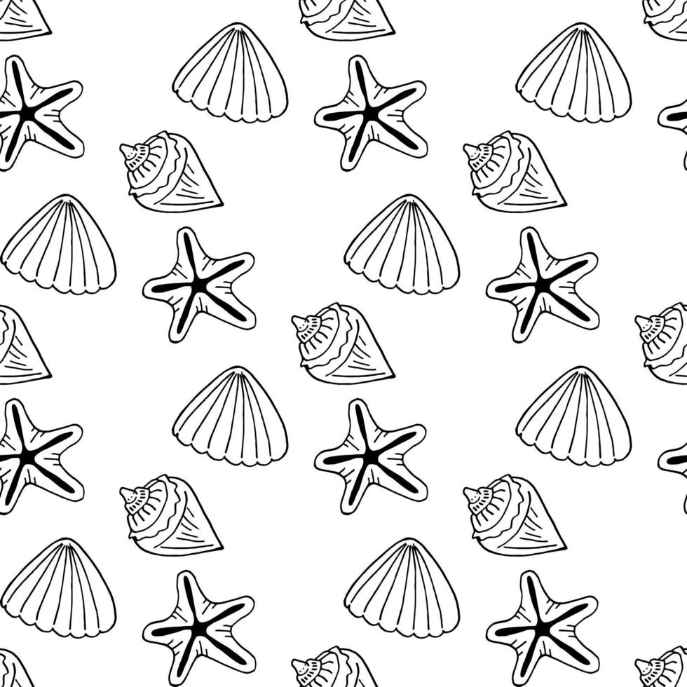 sem costura padrão com conchas do mar em preto e branco e estrelas do mar em fundo branco. imagem vetorial. vetor