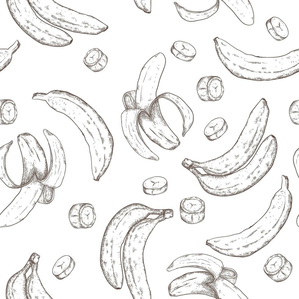 padrão sem emenda desenhada de mão de banana vetor