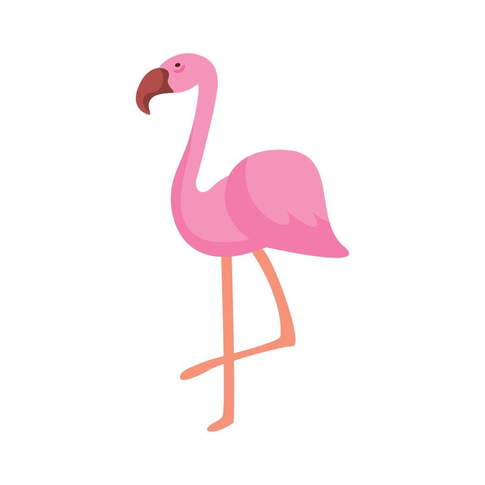 pássaro exótico flamingo vetor