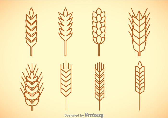 Conjuntos de vetores de stalk de trigo