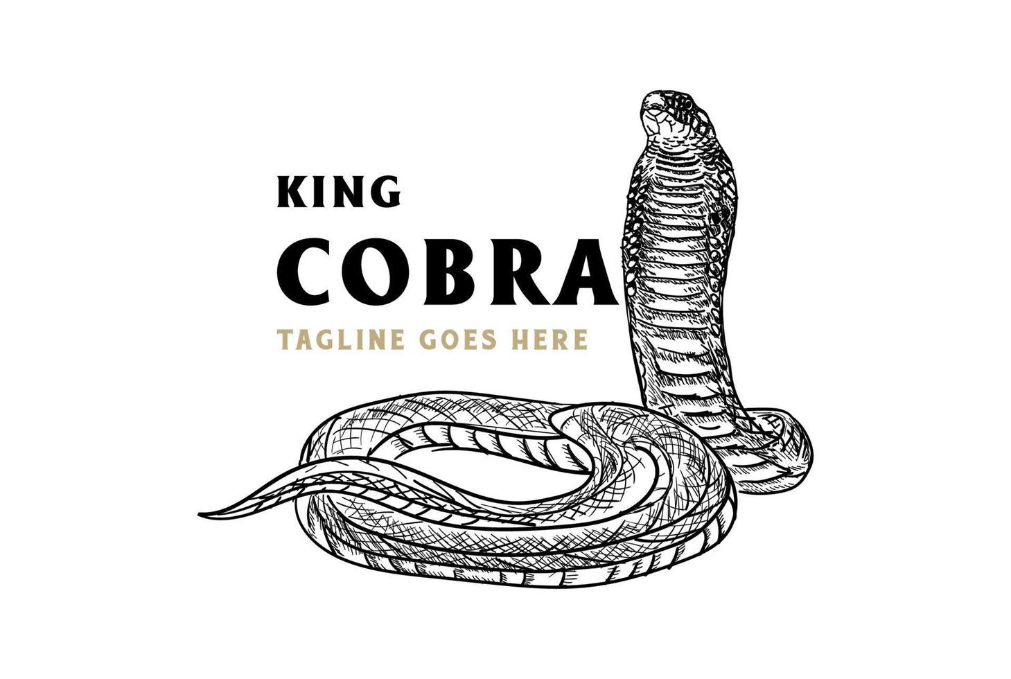 desenho de mão vintage cobra rei ou cobra mamba negra para design de logotipo de tatuagem vetor