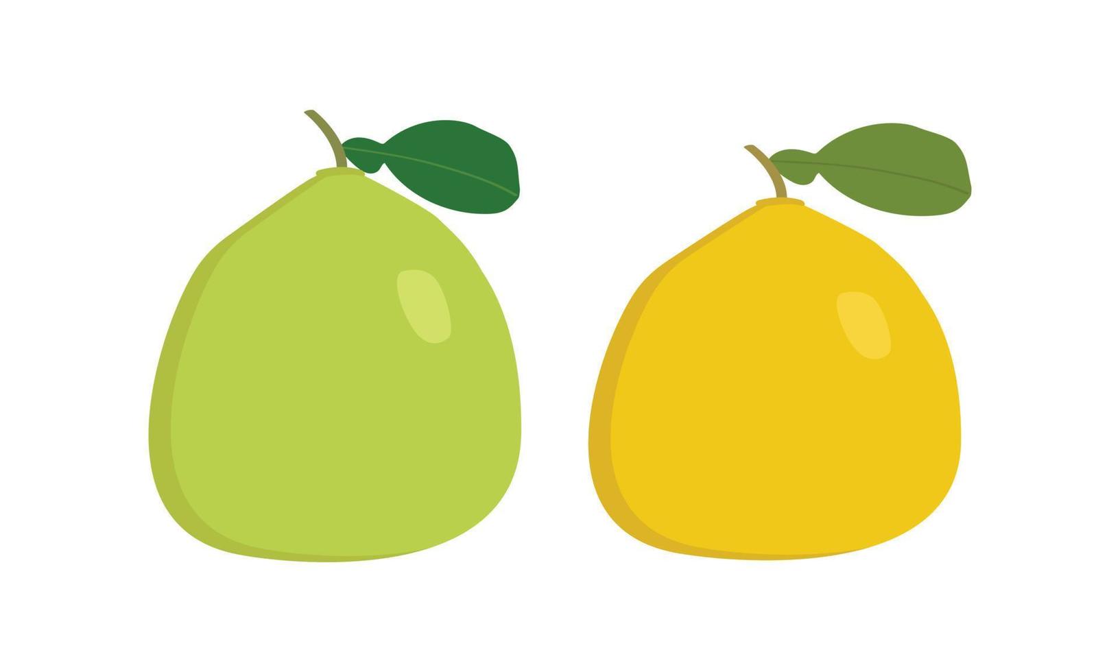 clipart de pomelo verde e amarelo. ilustração simples do projeto do vetor do estilo plano da fruta pomelo isolado no branco. frutas de verão para um estilo de vida saudável. fruta orgânica. conceito de frutas do festival do meio outono