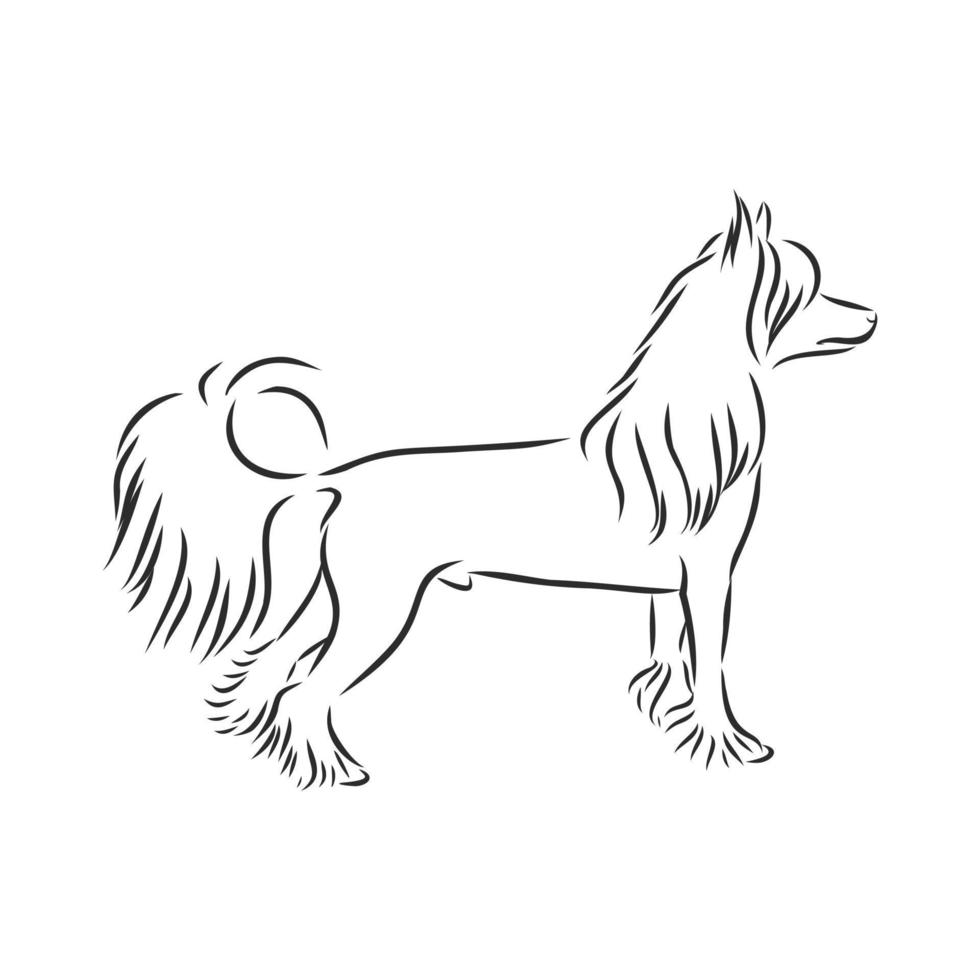 desenho vetorial de cachorro vetor