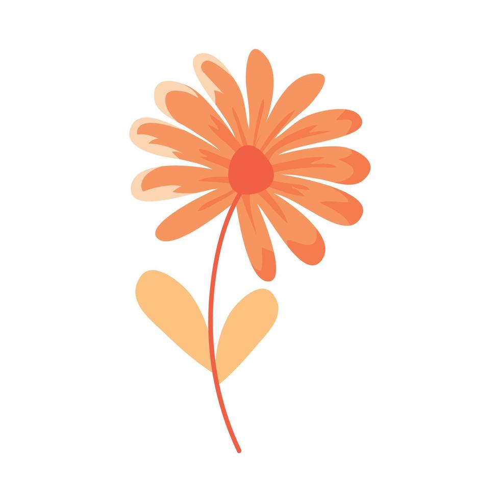 flor de primavera laranja vetor