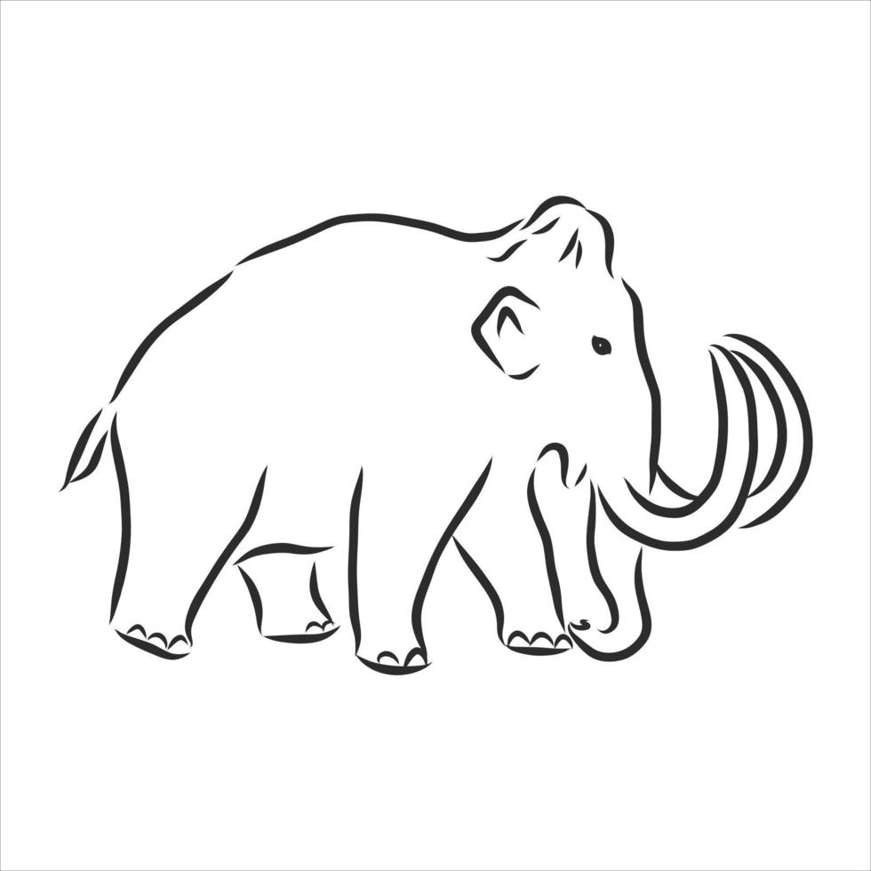 desenho vetorial de mamute vetor