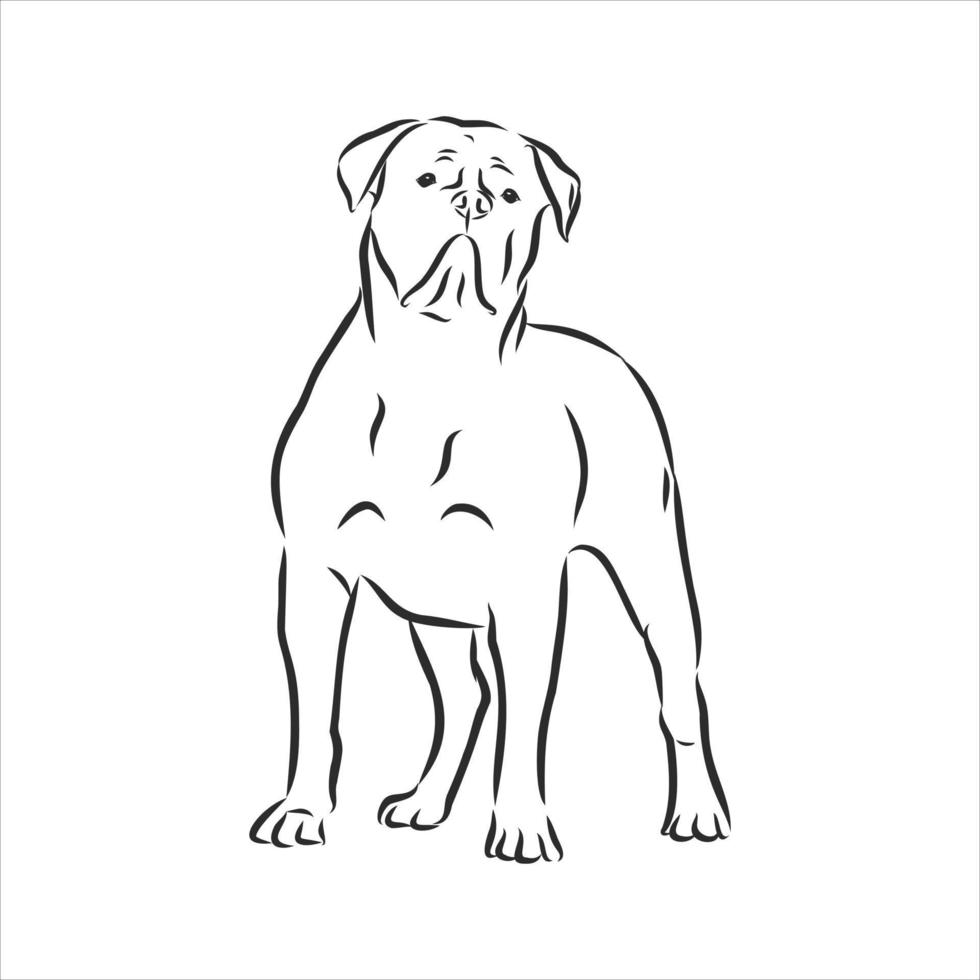 desenho vetorial de cachorro vetor