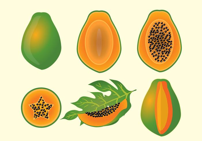 Vectro de frutas de mamão vetor