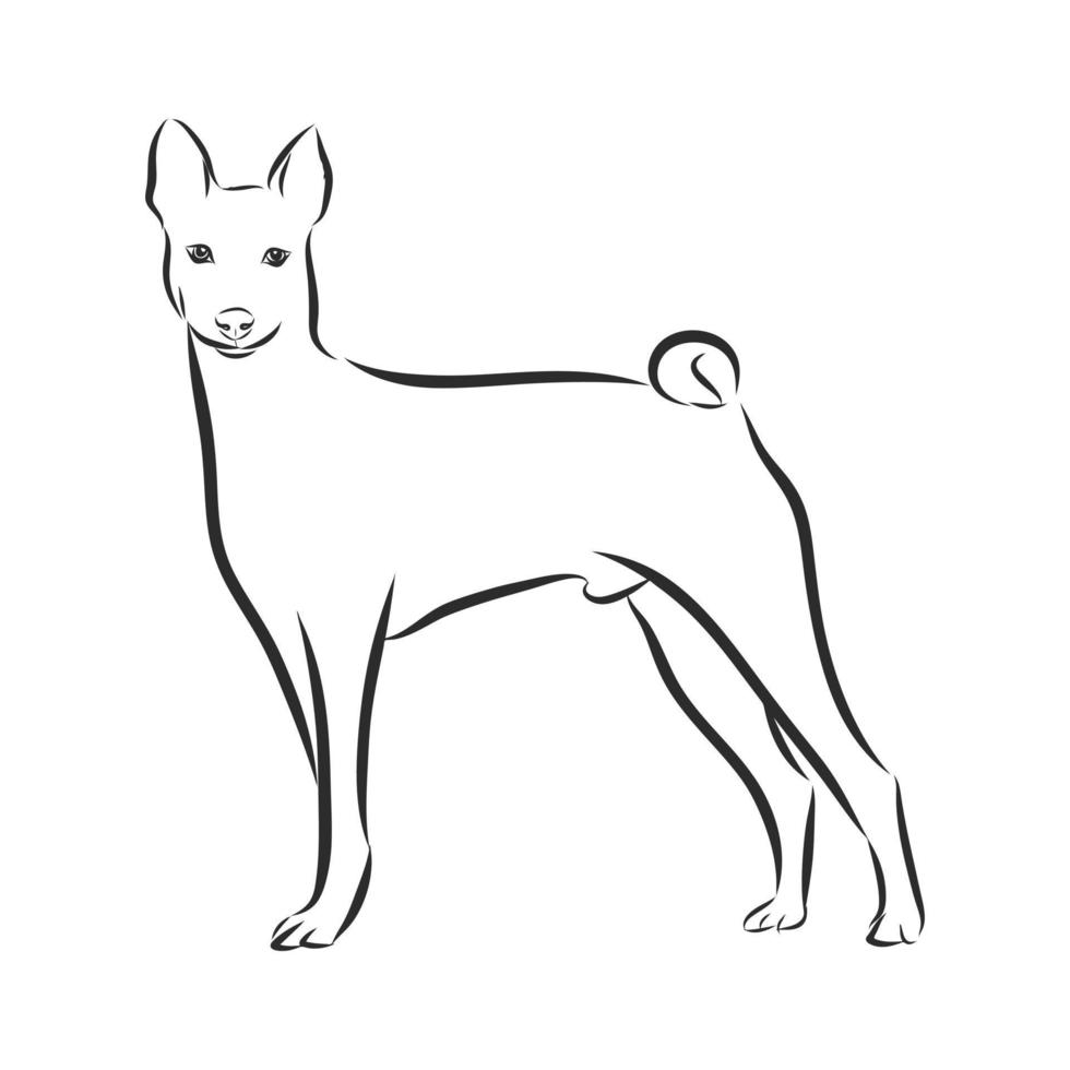 desenho vetorial de cachorro vetor