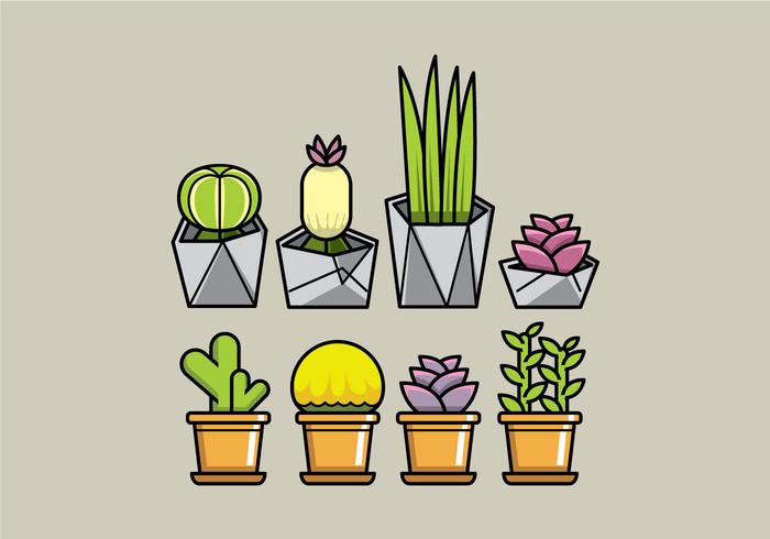 Plantadores de Succulent Vector