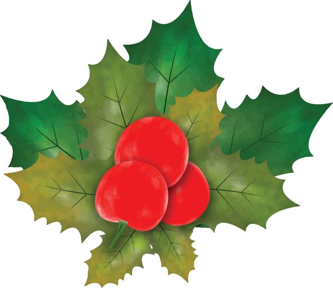 ilustração em vetor símbolo de Natal. folhas de azevinho de natal e galhos com ilustração vetorial de aquarela de frutas vermelhas de inverno para elemento decorativo. conjunto vetorial de folhas de azevinho perene de natal.