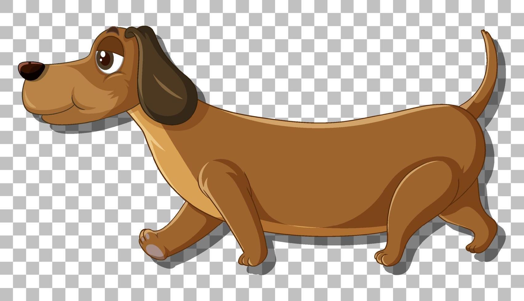 personagem de desenho animado do cão bassê vetor
