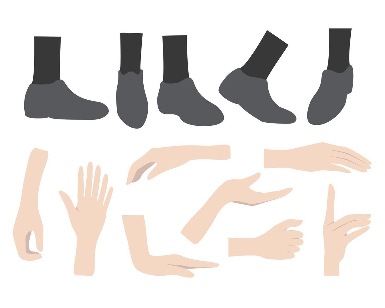 mãos e pés em diferentes gestos, ilustração de partes do corpo vetor