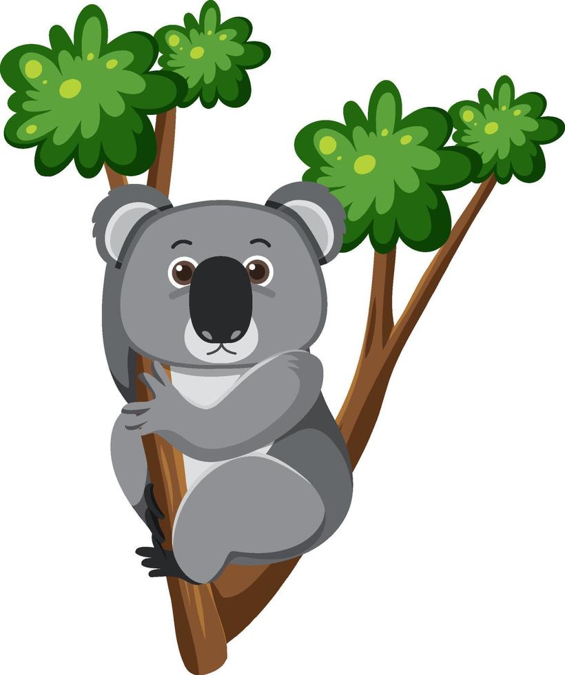 coala subir em uma árvore no estilo cartoon vetor