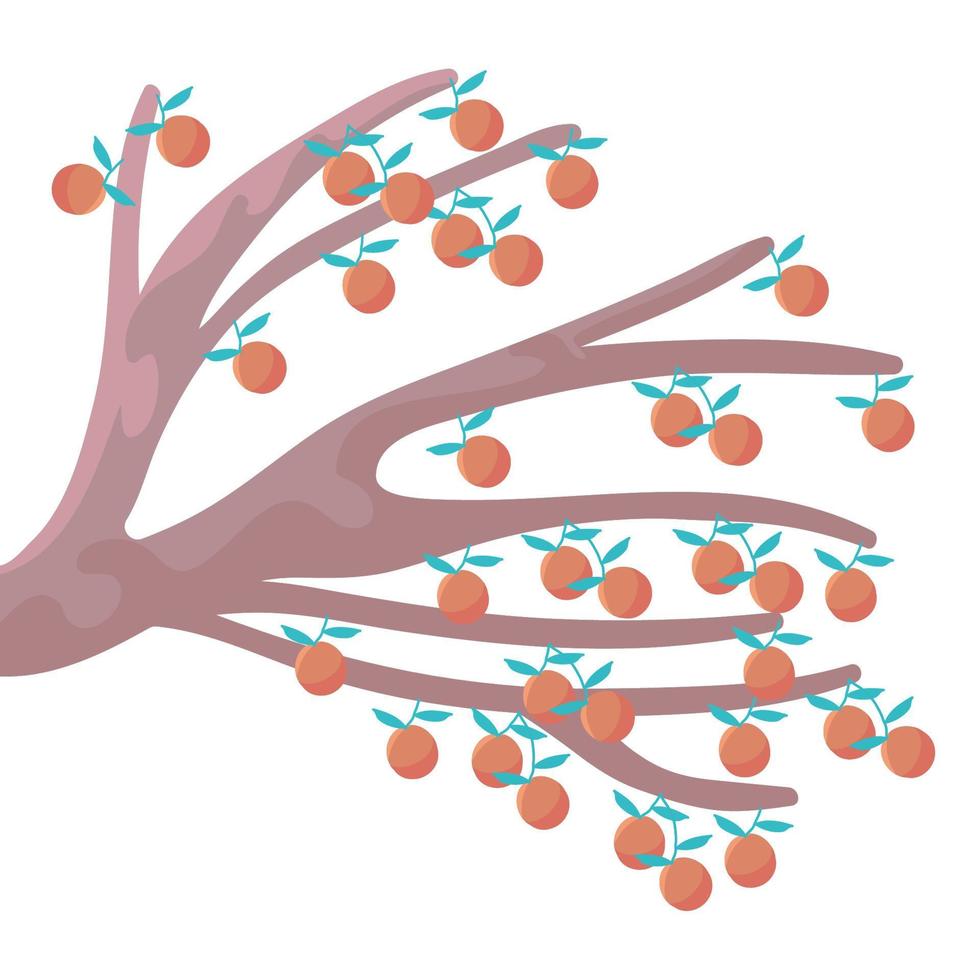 árvore de ramo de laranjas vetor