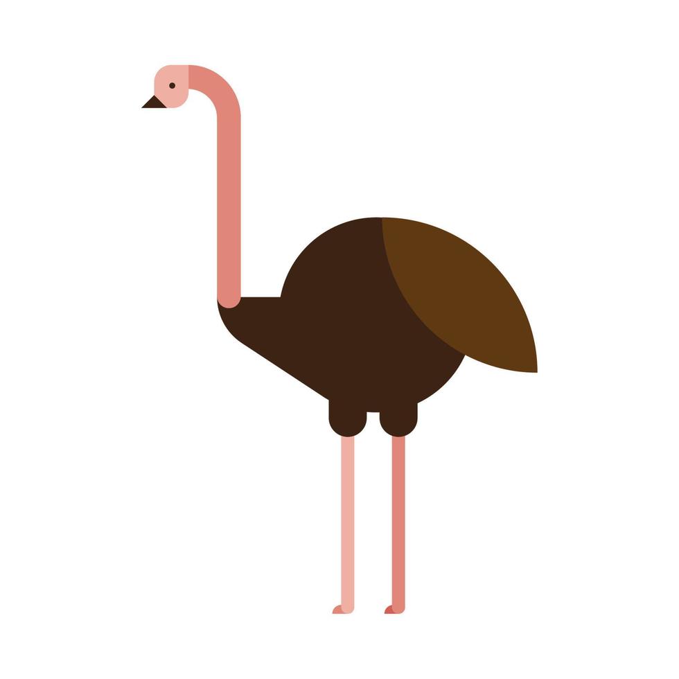 formas básicas de avestruz vetor
