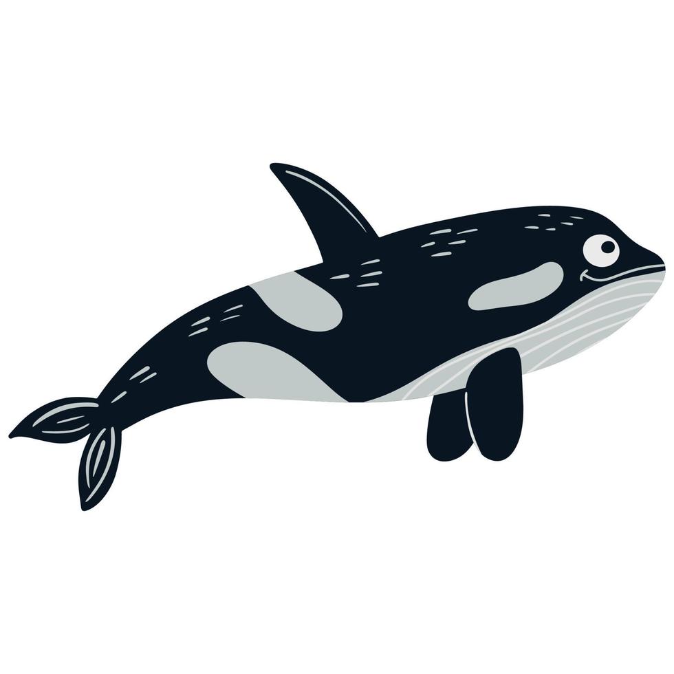 orca. animal subaquático do mar. ilustração vetorial em um fundo branco em estilo cartoon. vetor