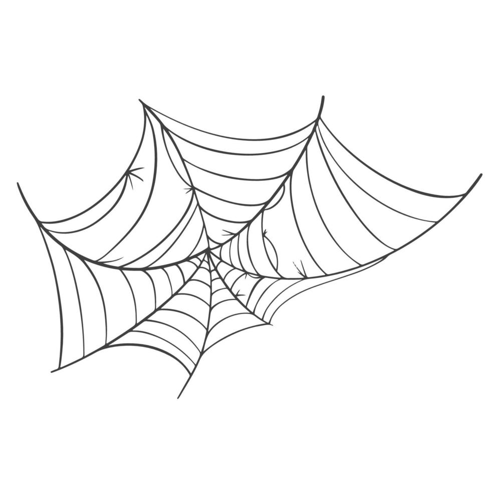 ícone de teia de aranha vetorial desenhado em uma linha em branco para o halloween. vetor