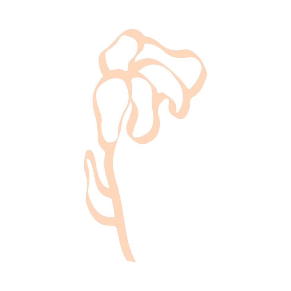 esboço rosa doodle desenhado à mão vetor
