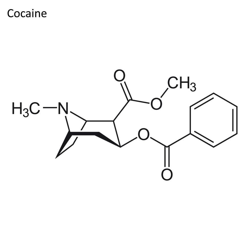 fórmula esquelética da cocaína vetor