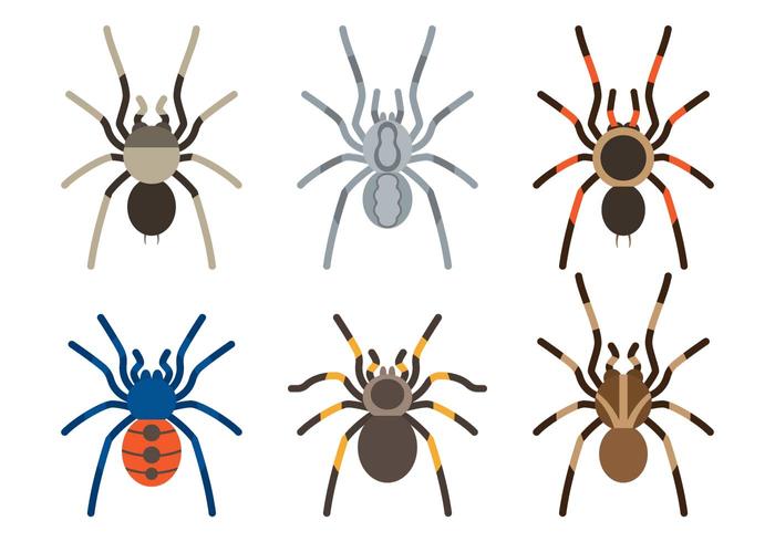 Espécies de Tarantula vetor