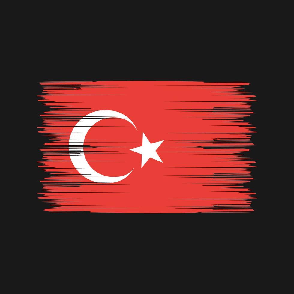 escova de bandeira da turquia. bandeira nacional vetor