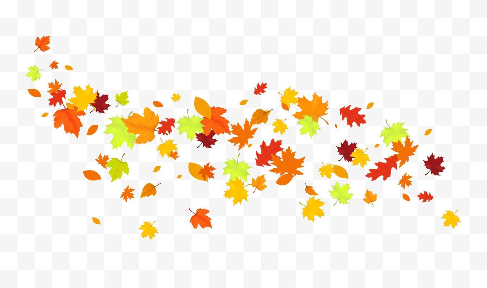 folhas de outono caindo isoladas no fundo branco vetor