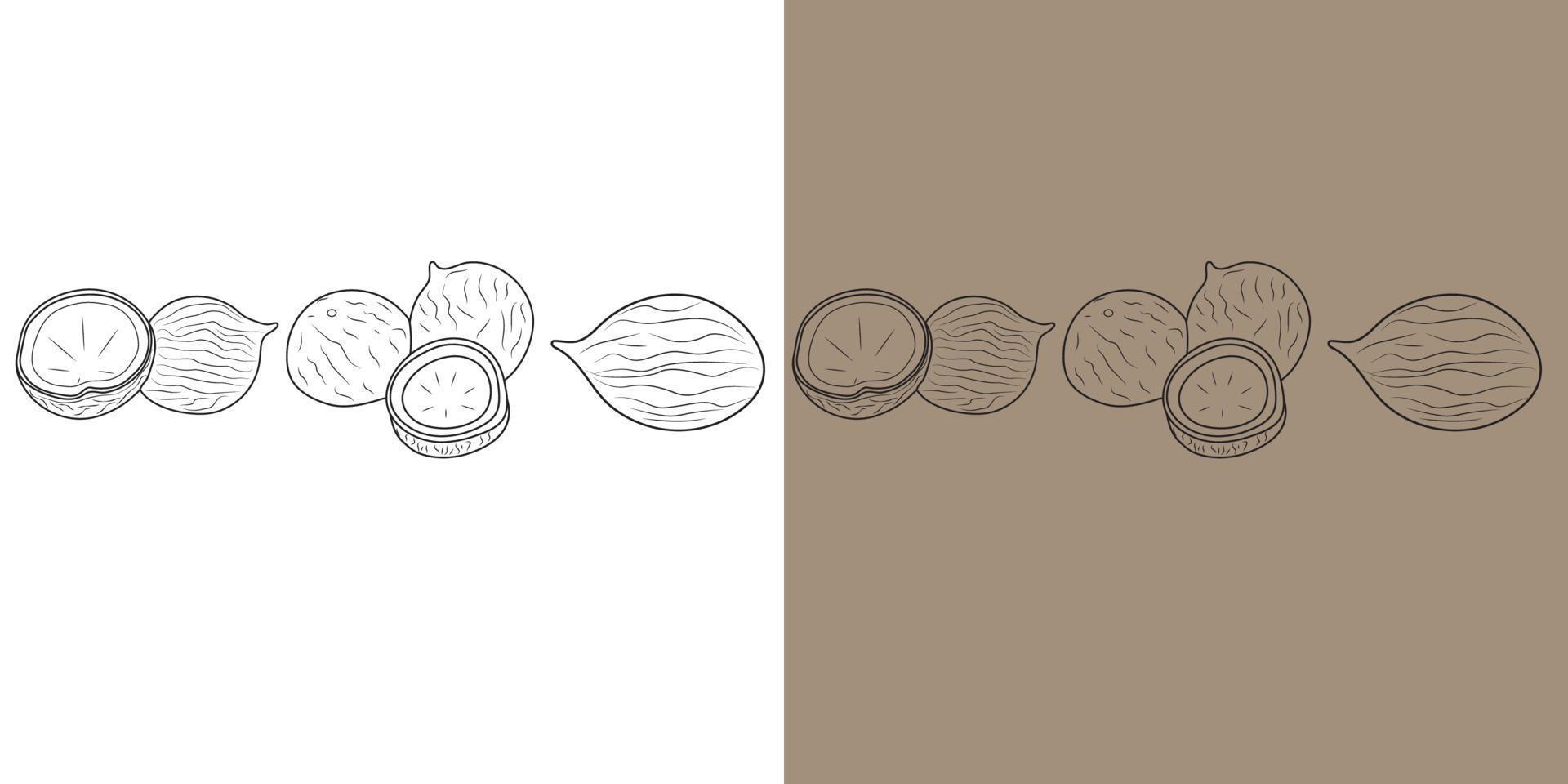 estilo doodle cheio e meio coco. ilustração vetorial em branco luz marrom background.doodle isolado ilustração de ícones de frutas. vetor