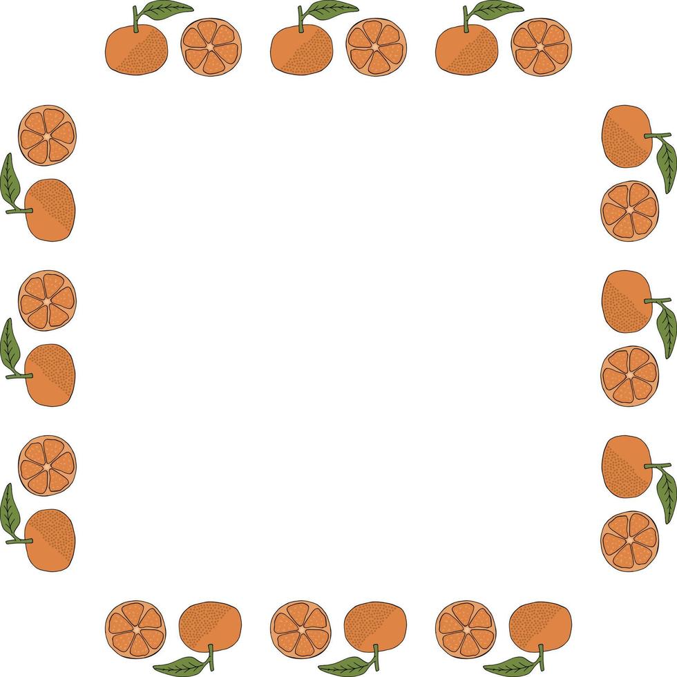 moldura quadrada com tangerinas em fundo branco. imagem vetorial. vetor