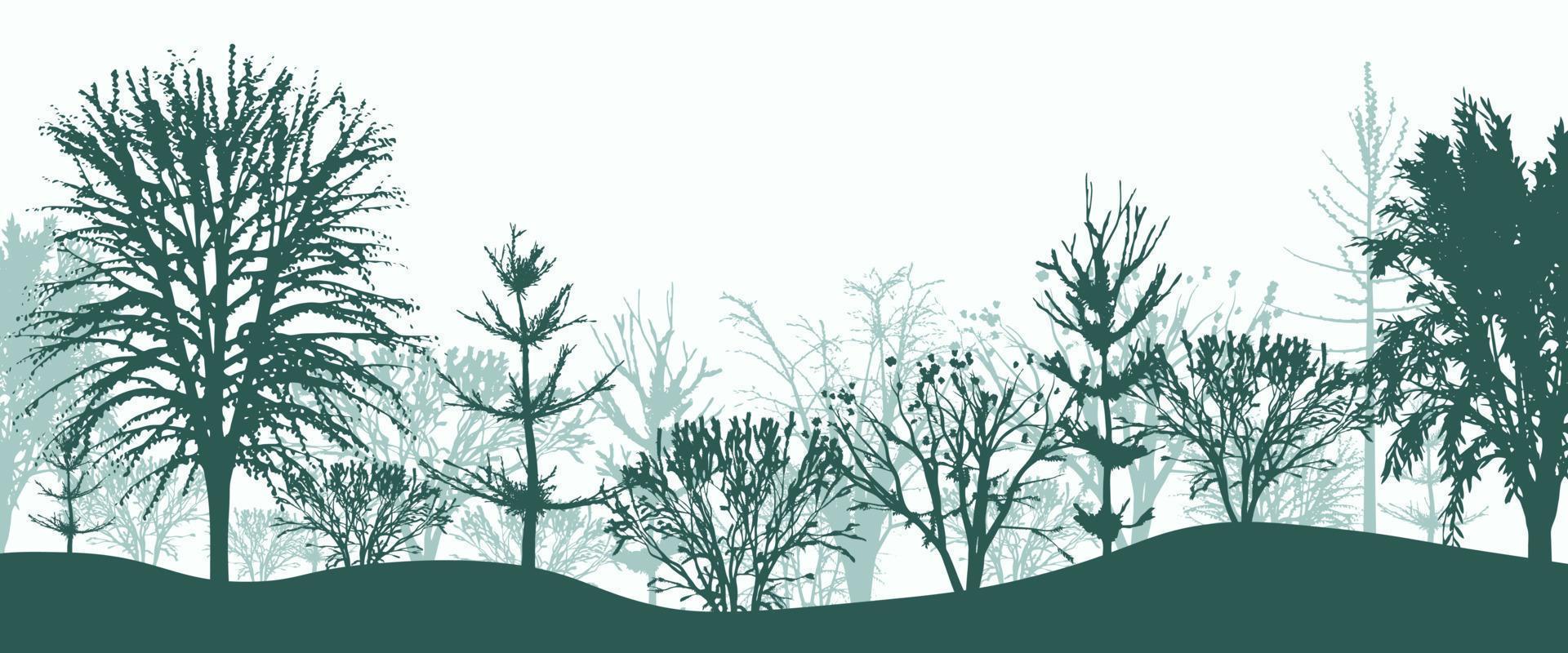 silhuetas verdes de árvores no fundo da floresta. matagal matinal místico de abetos e faias com arbustos em neblina leve. paisagem misteriosa em design vetorial natural vetor