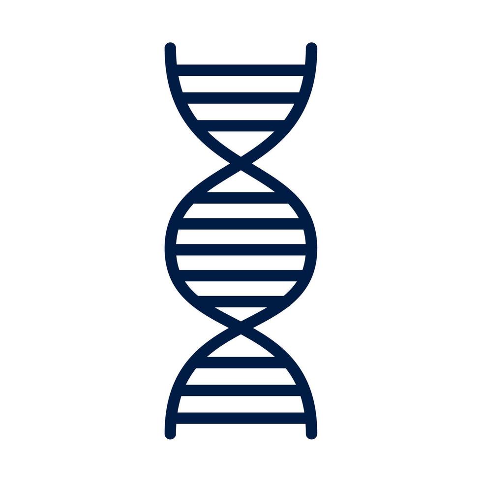 molécula de DNA genética vetor