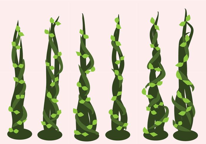 Vectores de Beanstalk vetor