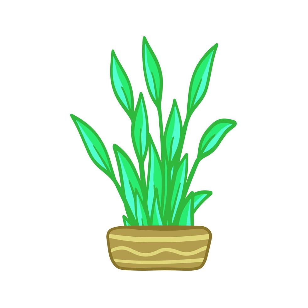 vaso de planta. folhas verdes caseiras de planta de casa. jardinagem e botânica. ilustração plana. pote marrom e decoração de casa vetor
