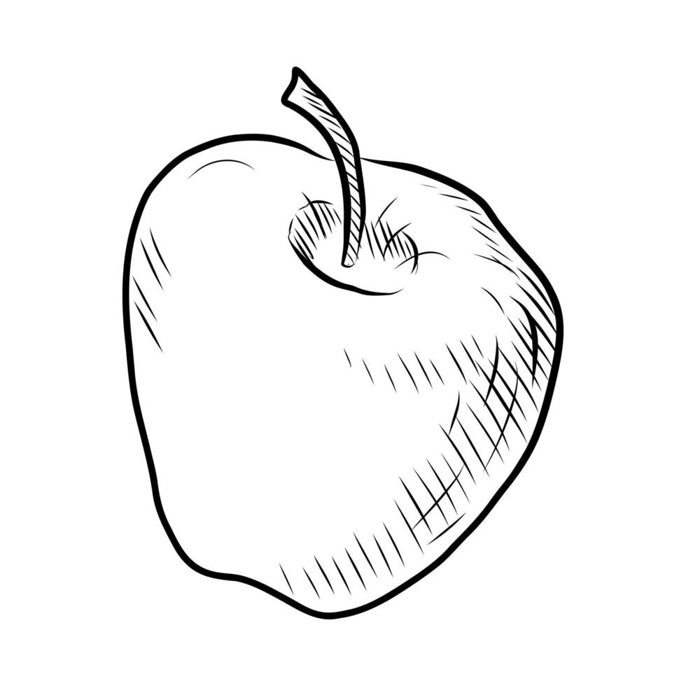desenho de contorno preto de uma maçã em um fundo branco em vetor