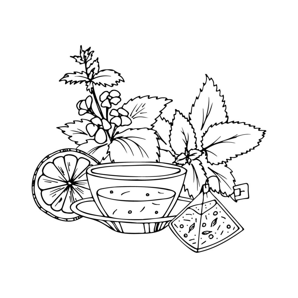 Conjunto de vetores de xícara de chá de ervas. doodle ilustração de esboço desenhado à mão